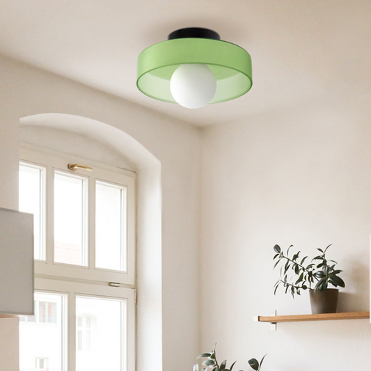 Modern LED Ceiling Indoor Lamp